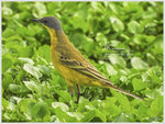 DSCN6175_01