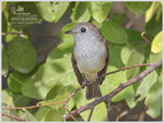 DSCN6224_01