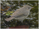 DSCN6251_01
