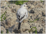 DSCN6429_01