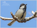 DSCN6674_01