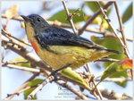DSCN8147_01