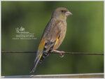 DSCN8193_01