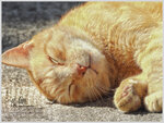 DSCN8682_01
