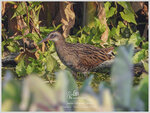 DSCN8876_01