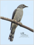 DSCN8921_01