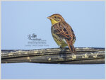 DSCN8949_01