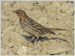 DSCN9201_01