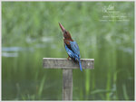 DSCN9463_01