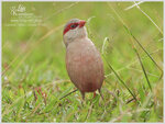 DSCN9533_01