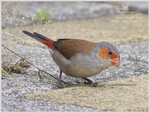 DSCN9643_01