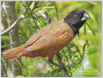 DSCN9651_01