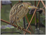DSCN9672_01
