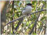 DSCN9918_01