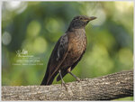 DSCN9934_01