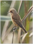 DSCN9936_01